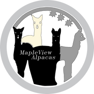 Maple View Alpacas